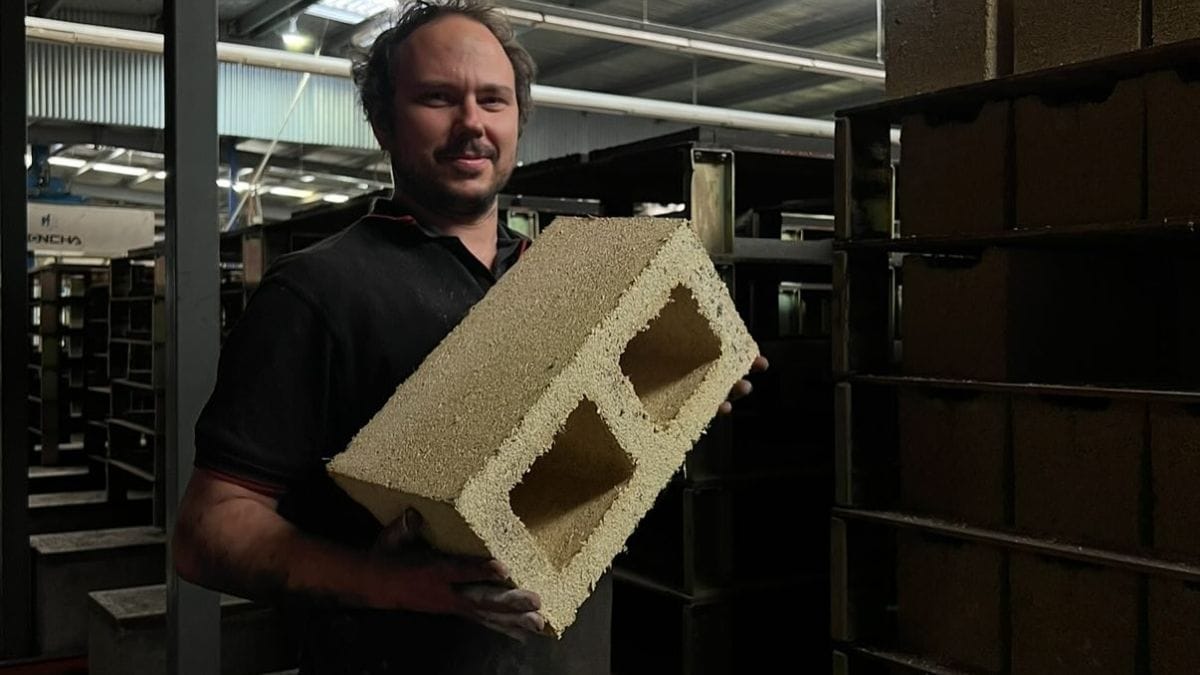 Imagem do tijolo preparado com conchas de ostras trituradas