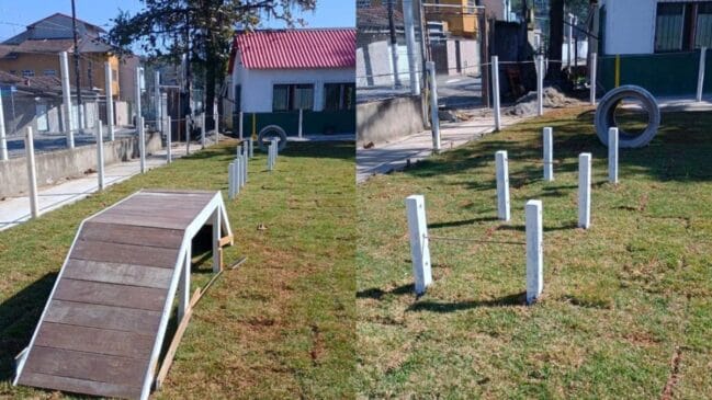 Novo espaço pet em Santos