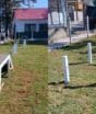 Primeiro espaço pet do litoral terá piscina para cães, ponte, túnel e circuito recreativo em área do Parque dos Mangues