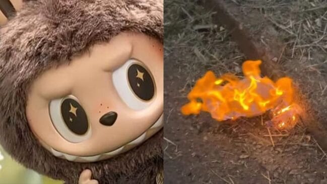Brinquedo ao lado de um exemplar sendo queimado pela esposa de Regis Danese