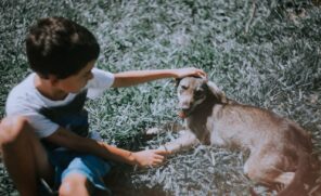 Menino sentado na grama acariciando um cachorro deitado ao seu lado em uma área ao ar livre
