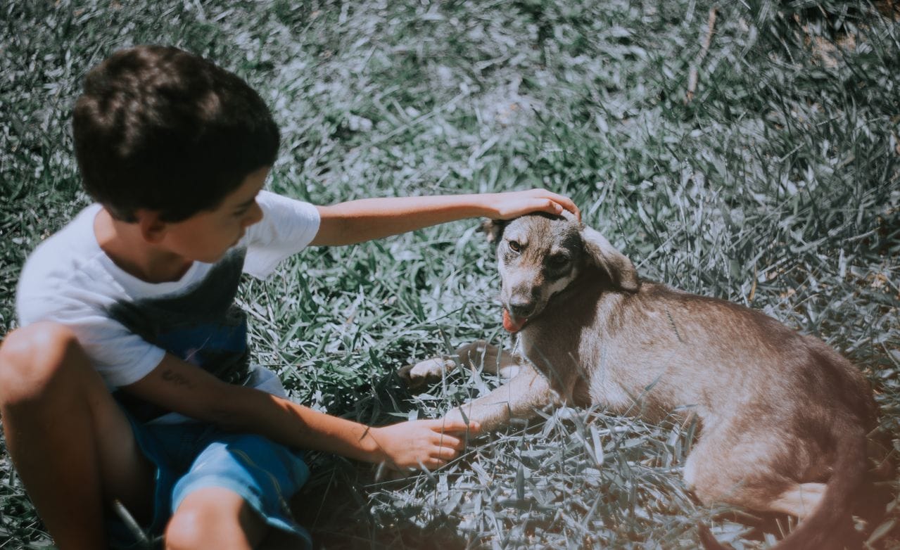 Menino sentado na grama acariciando um cachorro deitado ao seu lado em uma área ao ar livre