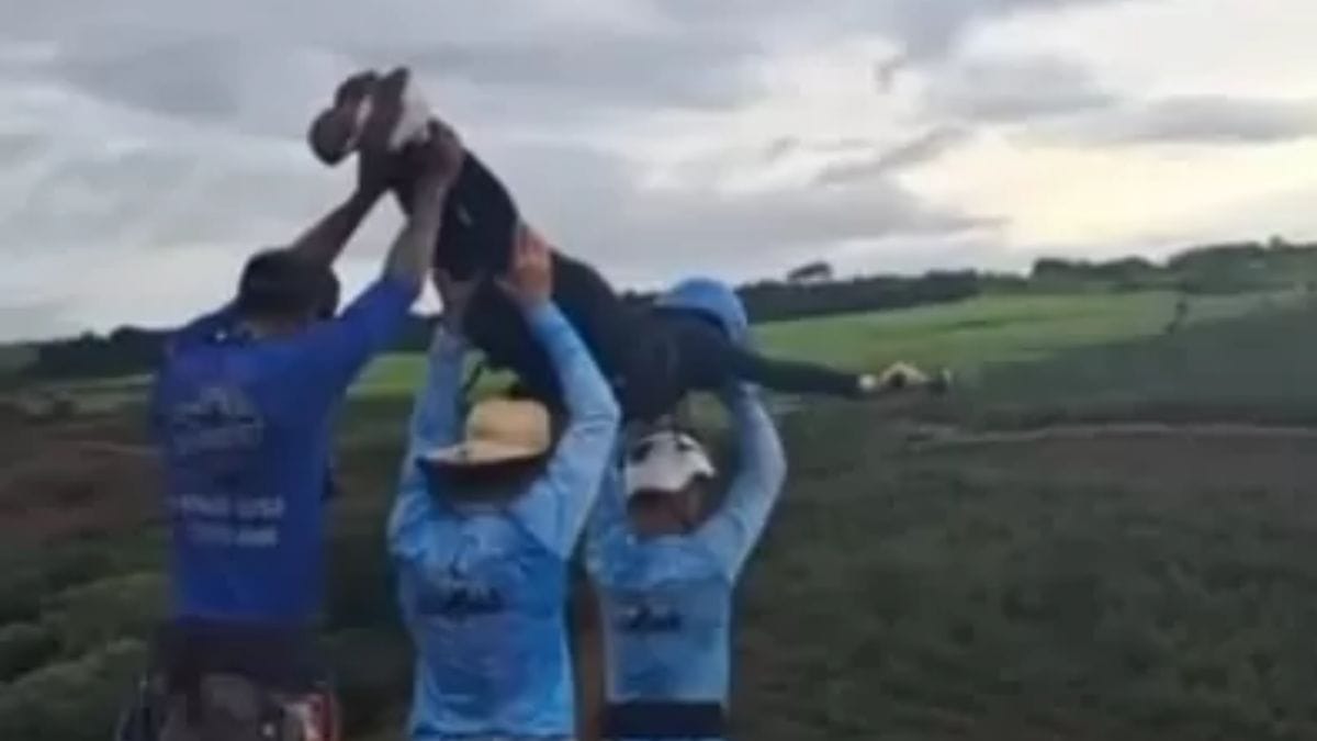 Imagem da estrutura utilizada para atividades de aventura