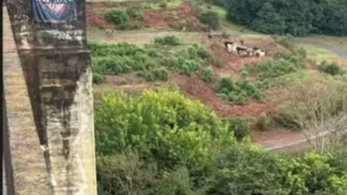 Foto da estrutura inacabada da Ponte do Esqueleto