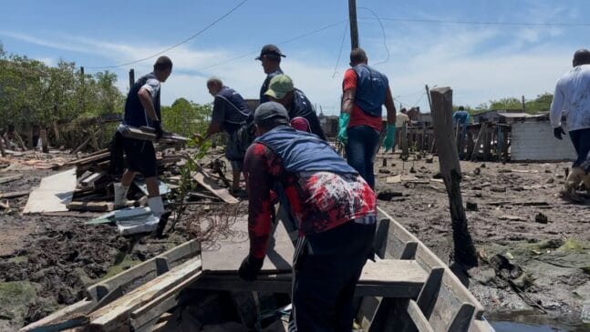 Retirada de lixo do mangue no Litoral de São Paulo