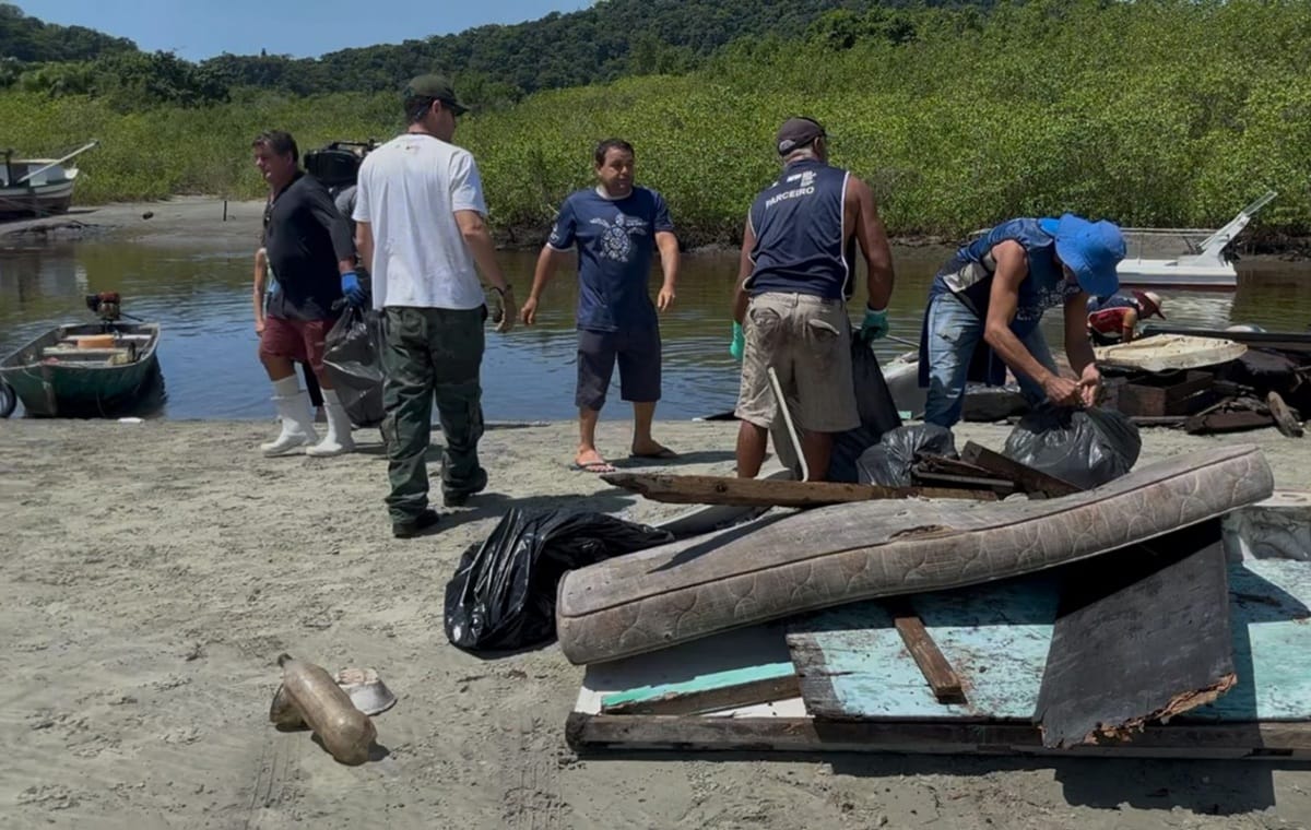 Retirada de lixo dos mangues do Litoral de São Paulo