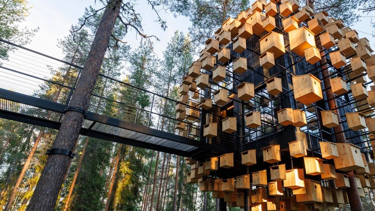 O quarto Biosphere é coberto por casas de pássaros (Foto: Divulgação/Treehotel)