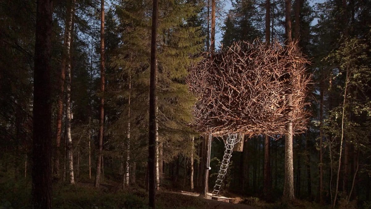 Entre as árvores da Suécia, uma hospedagem camuflada desafia a imaginação dos visitantes (Foto: Divulgação/Tree Hotel)