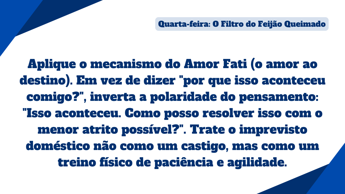 Card sobre o conceito de Amor Fati orientando a transformar imprevistos em treinos de paciência e agilidade