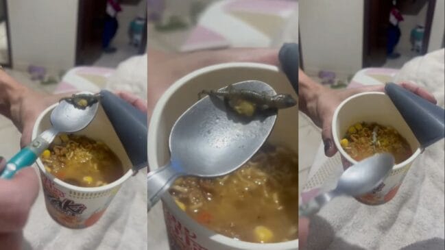 A lagartixa estava dentro do macarrão instantâneo