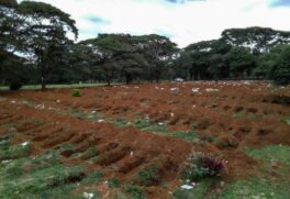 Estudo mostra que 1.510.068 mortes foram registradas em todo o território brasileiro apenas no ano passado