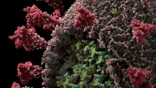 Reprodução do modelo do novo coronavírus criada pela Visual Science