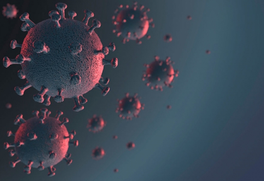 Em Santos, foram 105 novas notificações de covid-19 entre os munícipes neste sábado (6)