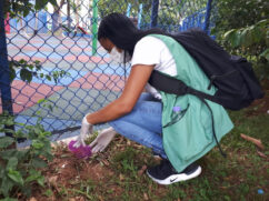 mutirão dengue santos