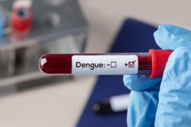 Desde o dia primeiro de janeiro, foram registradas mais de 10.728 infecções pela doença