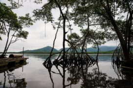 Área de Proteção Ambiental Serra do Guararu foi reconhecida como 'solução inspiradora'