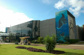 Aquario