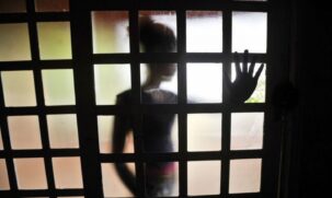 A diretora-executiva do Instituto Sou da Paz, Carolina Ricardo, afirmou que o "governo precisa deixar de justificar esse aumento" devido a novos canais de denúncia e que o problema precisa de novas políticas públicas.