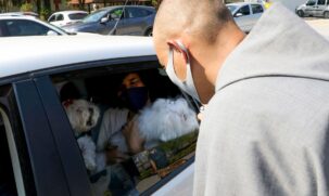 Latam Airlines suspendeu o transporte de pets no porão de suas aeronaves por 30 dias