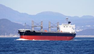 Navio Belmoira entra em quarentena após apresentar quatro casos positivos para Covid-19