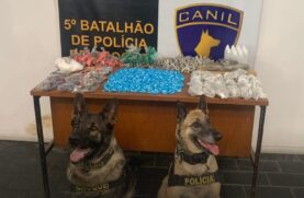 Os PMs estavam em operação, quando os cães farejadores indicaram odor de drogas em um imóvel