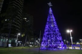 Para potencializar a magia da época mais aguardada do ano, a Prefeitura lançou o concurso 'Guarujá Iluminada'