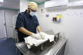 Canil abre 300 vagas para castração gratuita em Guarujá
