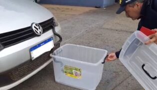Cobra pegou 'carona' em carro e só foi descoberta enquanto motorista dirigia o veículo