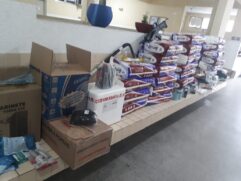 Mulher é presa em flagrante por armazenar itens roubados do site de compra e venda Mercado Livre