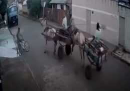 Choque entre duas carroças deixa um carroceiro ferido