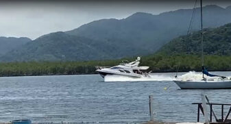 Embarcações velozes estão acabando com berçário de espécies da região 