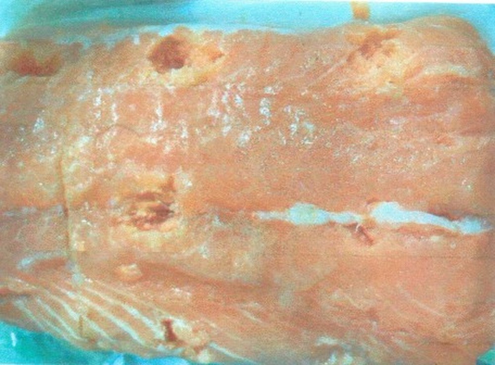 Filé estava em avançado estado de putrefação e alto teor de formol, segundo laudo toxicológico