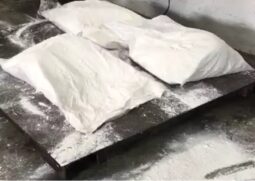 Mais de 500 quilos de cocaína é apreendido no Porto de Santos