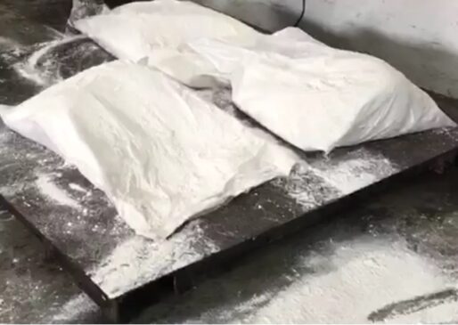 Mais de 500 quilos de cocaína é apreendido no Porto de Santos