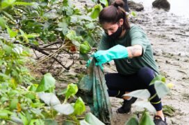 Mutirão de limpeza no Rio Santo Amaro, em Guarujá, recolheu mais de uma tonelada de lixo