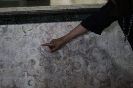 No prédio da Prefeitura (Praça Visconde de Mauá, Centro), logo no saguão principal, é possível notar extintos moluscos rudistas nas paredes laterais da escadaria