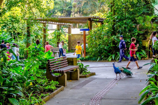 Também será possível realizar a inscrição para as visitas noturnas