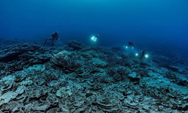 Unesco/ Recife de Coral no Taiti
