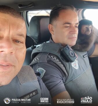 Macaco abraçou policial durante patrulhamento no bairro Santa Rosa
