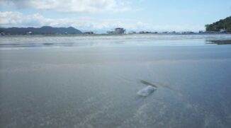 Praia Perequê
