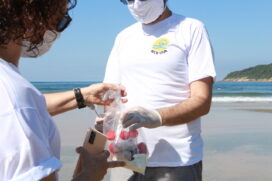 A qualidade sanitária e a movimentação natural da areia são os principais fatores observados na pesquisa