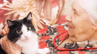 Segundo a psicóloga Isadora Fernandes, os animais são terapêuticos uma vez que eles podem oferecer diversas possibilidades de mudança de pensamento e comportamento