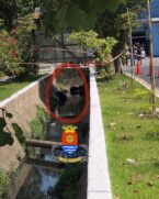 corpo encontrado dentro de canal - Guarujá