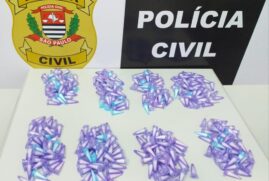 Mais de 400 pinos de cocaína e R$ 35 em dinheiro foram apreendidos pela DISE