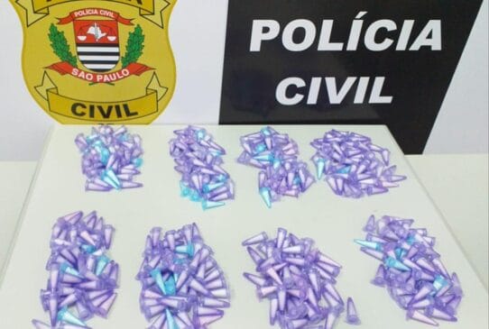Mais de 400 pinos de cocaína e R$ 35 em dinheiro foram apreendidos pela DISE