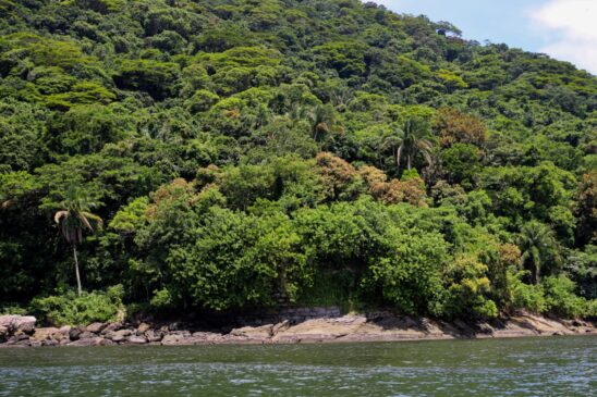 O 1º Fórum Municipal de Mudanças Climáticas e Recursos Hídricos de Guarujá, previsto para 23 de março, está com inscrições abertas