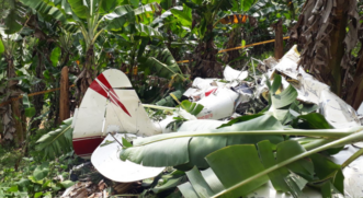 Piloto, de 70 anos, morreu com a queda do avião