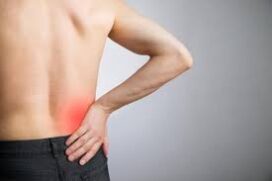 Cerca de 850 milhões de pessoas que sofrem de Doença Renal Crônica (DRC) no mundo