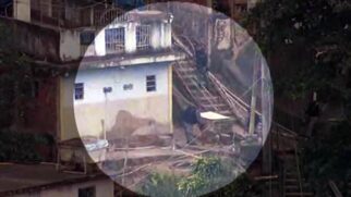 O Globocop registrou momento em que PM deu chute em gato no Morro dos Macacos