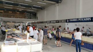 Festival da Sardinha trará para o consumidor o quilo do peixe campeão de recomendações médicas por apenas R$10 o quilo, no Mercado de Peixes